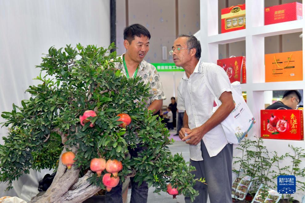 在网上正规ag有哪些
